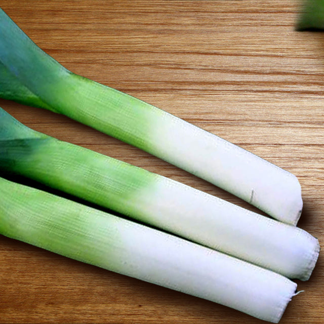Leek Onion