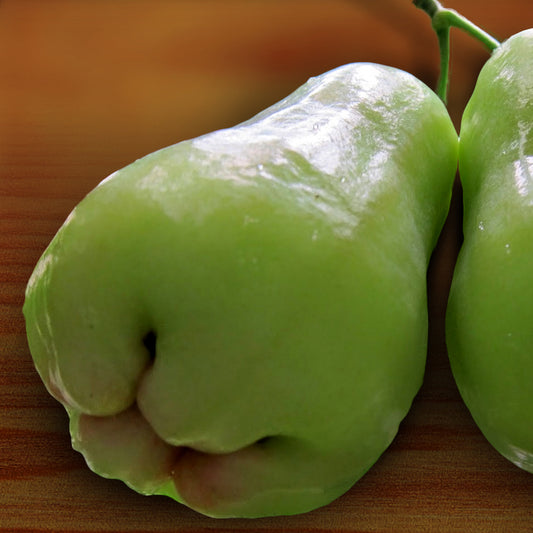 Green Rose Apple