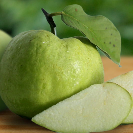 Guava