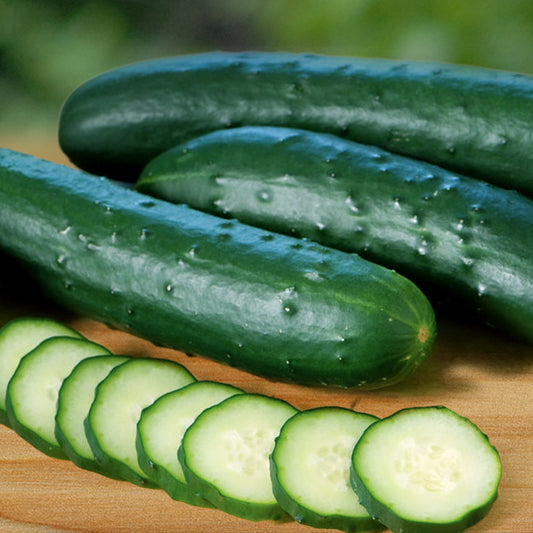 Japanese Cucumber