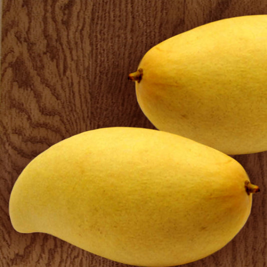 Mango Nam Dok Mai