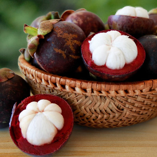 Mangosteen