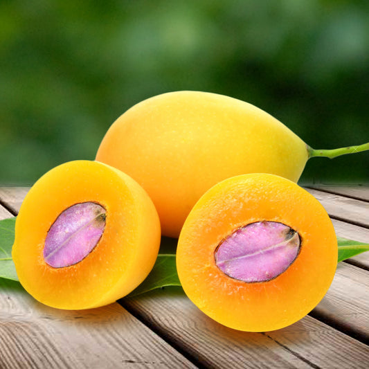 Marian Plum