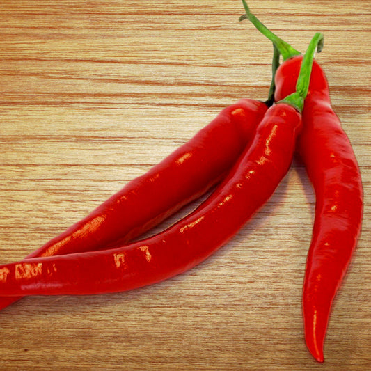 Red Long Chilli