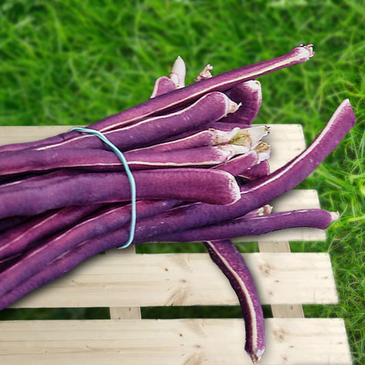 Red Long Bean