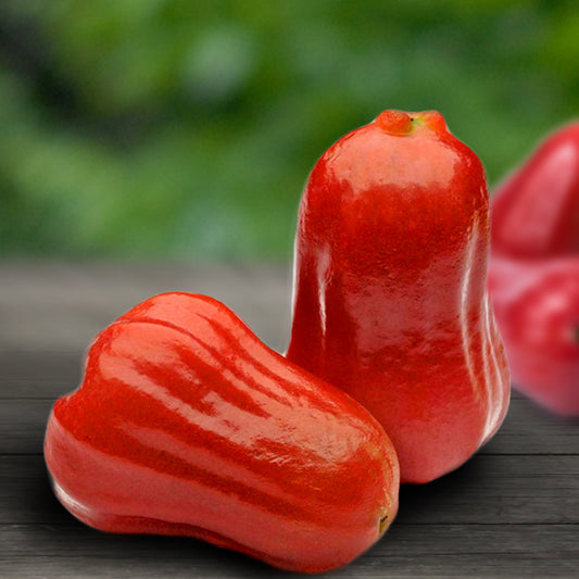 Red Rose Apple