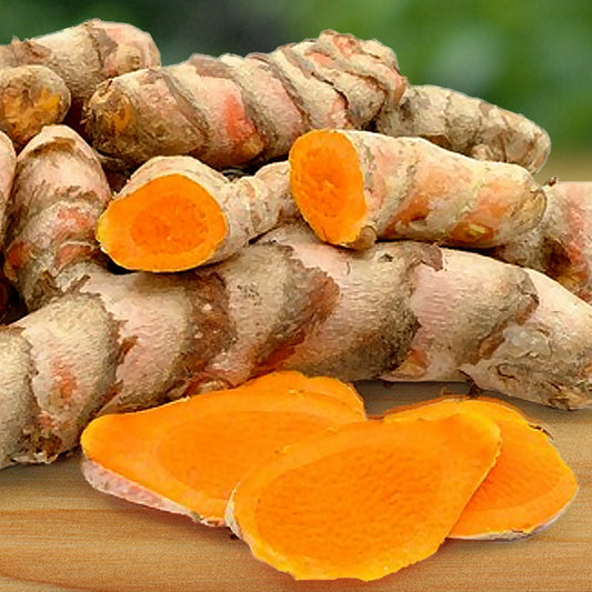 Turmeric